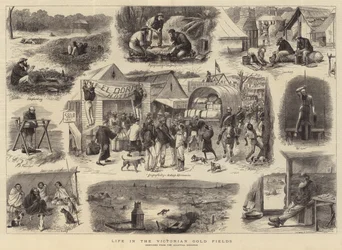 Leven in de Victoriaanse Goudvelden